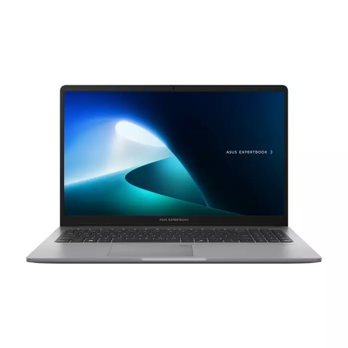 لپ تاپ ExpertBook P1 P1503CVA ایسوس - Core i5-13500H Iris Xe 8GB 512GB